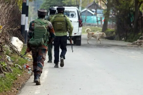 kashmir
