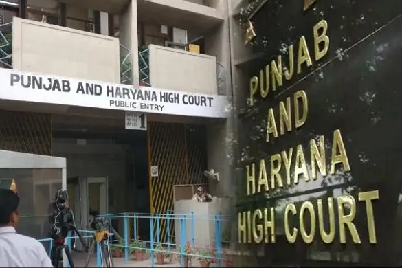 court