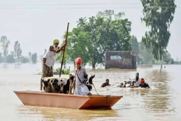 punjab