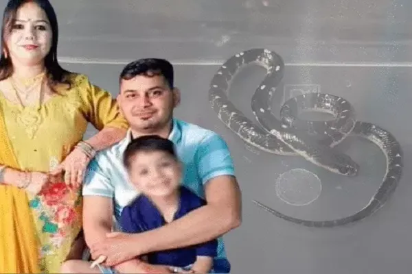 पत्नी ने प्रेमी साथ मिल पति को सांप से डसवाकर मारा, आधी रात बिस्तर पर सांप छोड़ा, इस तरह खुला राज पत्नी ने प्रेमी साथ मिल पति को सांप से डसवाकर मारा, आधी रात बिस्तर पर सांप छोड़ा, इस तरह खुला राज