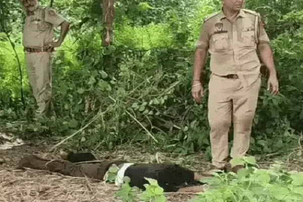 पंजाब के जालंधर में एनकाउंटर; जवाबी कार्रवाई में आरोपी के पैर में लगी गोली, अरेस्ट करते समय आरोपी ने की फायरिंग पंजाब के जालंधर में एनकाउंटर; जवाबी कार्रवाई में आरोपी के पैर में लगी गोली, अरेस्ट करते समय आरोपी ने की फायरिंग