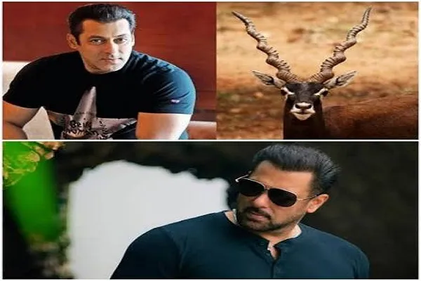 ‘हिरण को बहुत नजदीक से गोली मारी गई थी’, ‘काला हिरण- द बैटल फॉर लेगेसी’ का टीजर रिलीज ‘हिरण को बहुत नजदीक से गोली मारी गई थी’, ‘काला हिरण- द बैटल फॉर लेगेसी’ का टीजर रिलीज