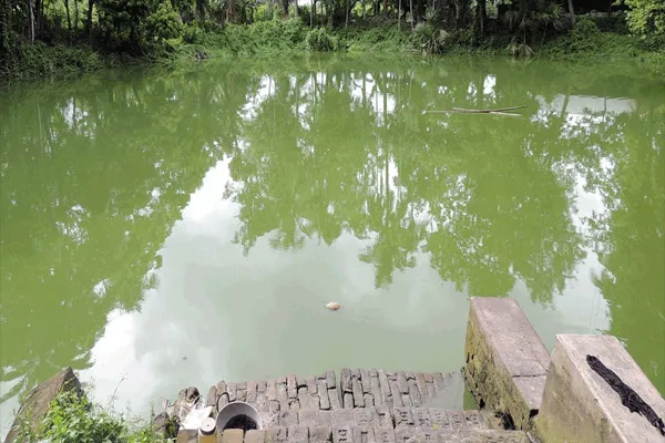 वर्ल्ड लेक डे पर JS-WEL की सराहनीय पहल: ग्रेटर नोएडा और पंजाब में प्रदूषित जलस्रोतों को किया पुनर्जीवित, सिंचाई लायक बनाया करोड़ों लीटर पानी वर्ल्ड लेक डे पर JS-WEL की सराहनीय पहल: ग्रेटर नोएडा और पंजाब में प्रदूषित जलस्रोतों को किया पुनर्जीवित, सिंचाई लायक बनाया करोड़ों लीटर पानी