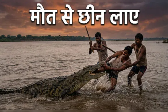 crocodil